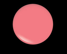 Load image into Gallery viewer, DISCO 166 C LIPGLOSS