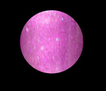 Load image into Gallery viewer, LALIQUE 217 T LIPGLOSS