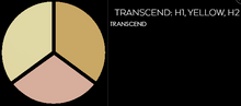 Load image into Gallery viewer, TRANSCEND: H1, YELLOW, H2 CONCEALER TRIO
