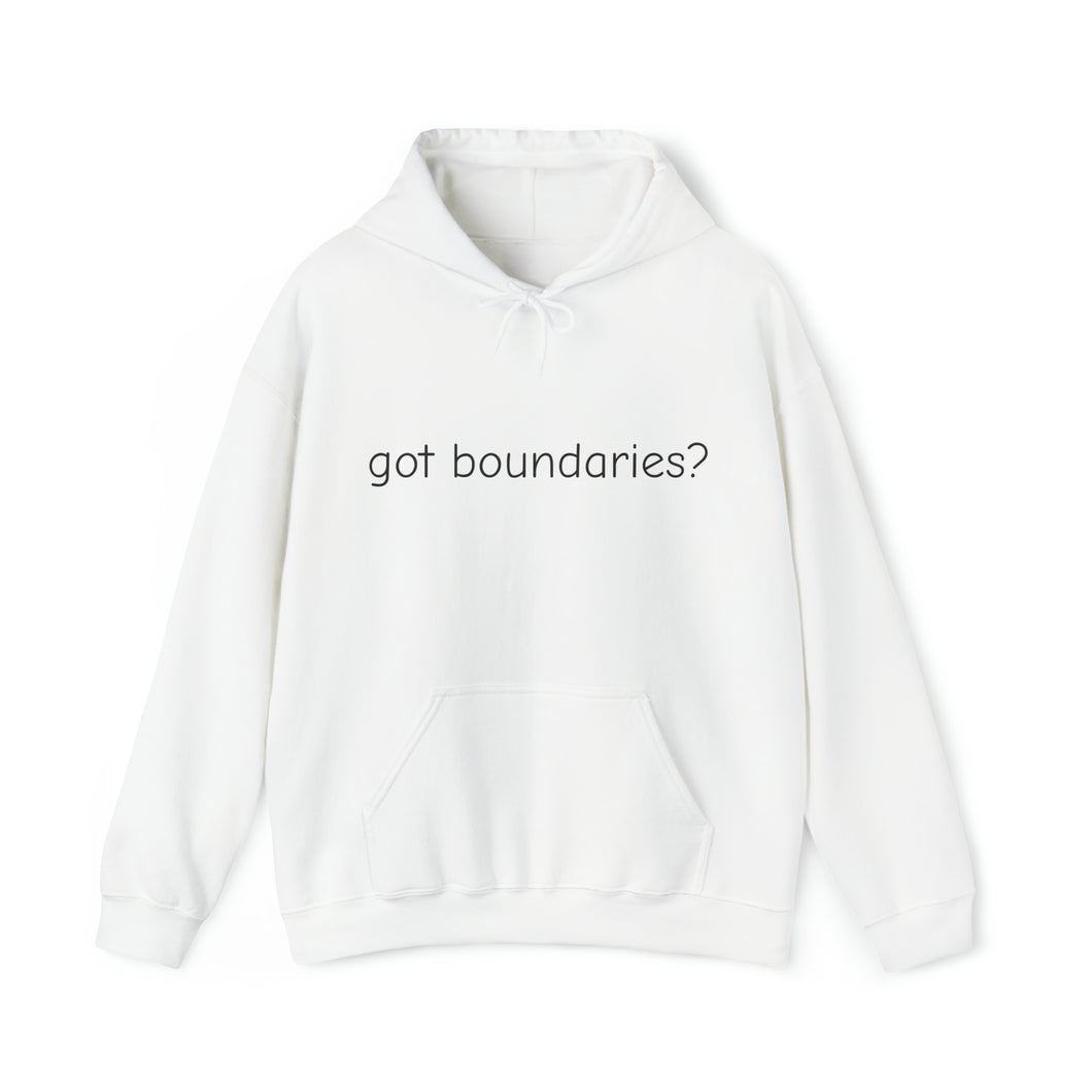 got boundaries? Unisex Heavy Blend™ Hooded Sweatshirt
