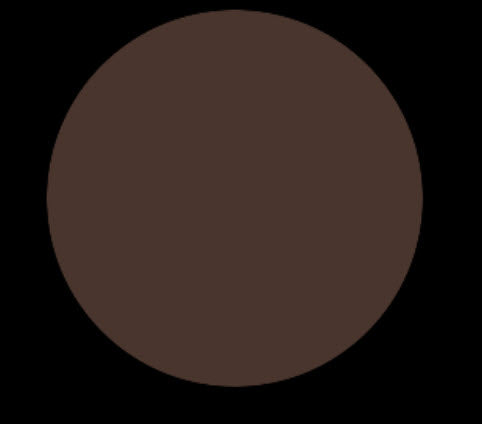 Walnut Lip Pencil