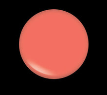 Load image into Gallery viewer, WATERMELON 109 S LIPGLOSS
