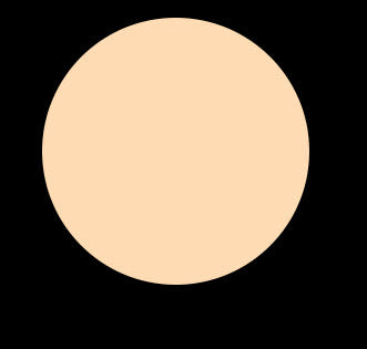 WARM YELLOW C2 MOUSE FOUNDATION