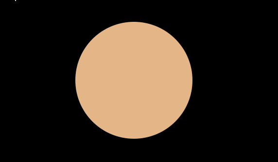 C5 WARM YELLOW FLAWLESS FINISH FOUNDATION
